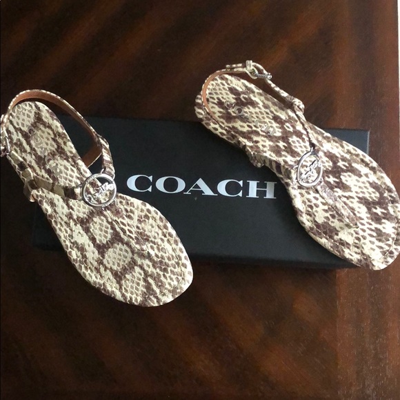 🌟COACH Thong Sandal🌟 - Picture 3 of 9